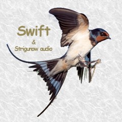 Swift Strigunow