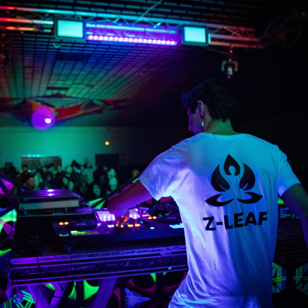 Stream Z-LEAF music | Listen to songs, albums, playlists for free