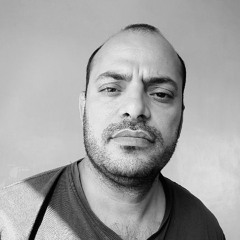 shahin farzaneh