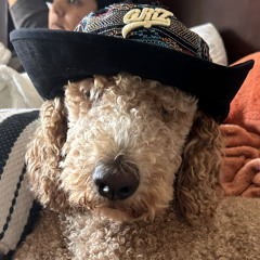 frankie