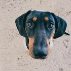 Jeka Martínez Salazar