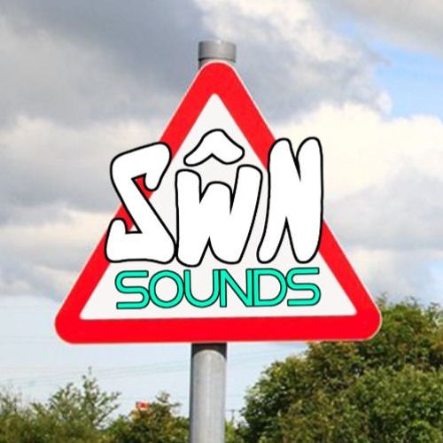 Sŵn Sounds’s avatar