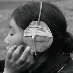 PLASTID