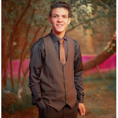 Ahmed Abd Alazeez Ibrahim