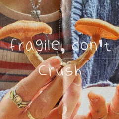 fragile, don't crush