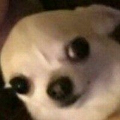 Bunch of Wires and Cords Plugged into a Hotdog.