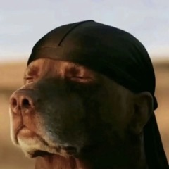 bigmiy