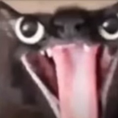 luuisrx