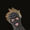 cryptometodeath
