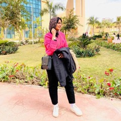 mayar hamdy