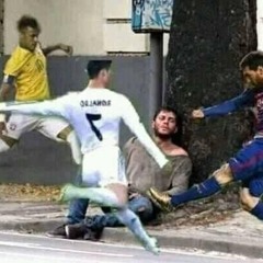Pulga Cearense