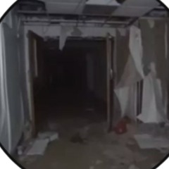 Quick STOP Eel Repair