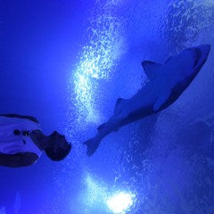 Oceanic
