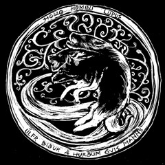 Schizophrenia Wolf