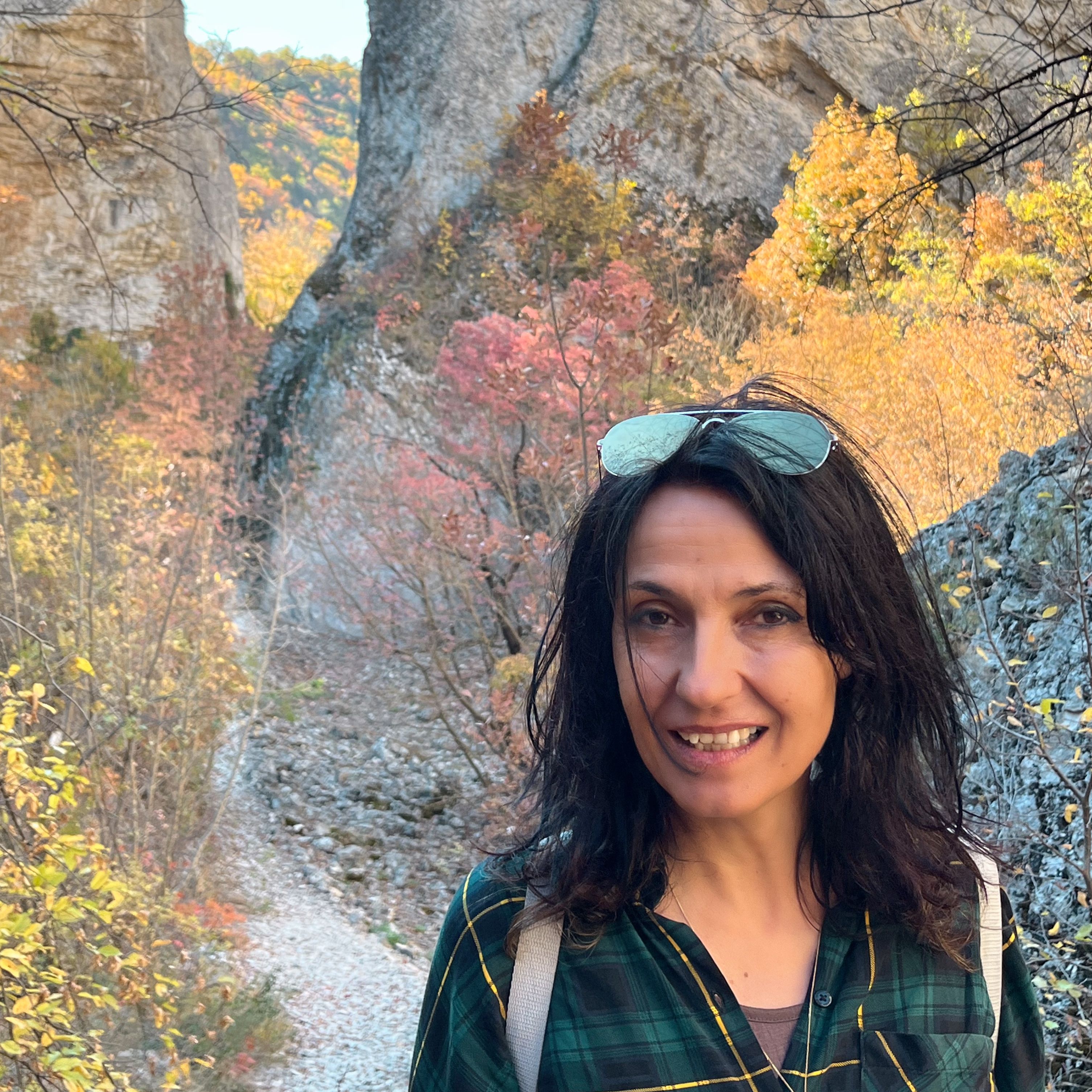 Пътешествия без край cover art