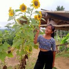 Niputudheanirmalasari