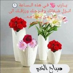 Habyba Ahmed
