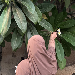 alhedayh06