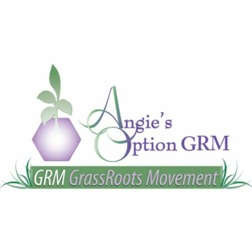 Angie's Option GRM’s avatar