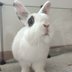 Space Engineers - Chilling, building and exploring