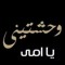 Mohamed El Noby