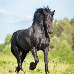 Omar