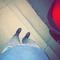 they.dfw.jacob_