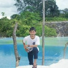 Arfiwin Anas