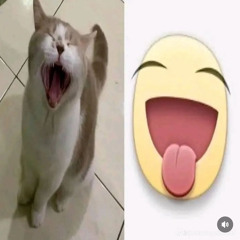 dylandylandylandylan5