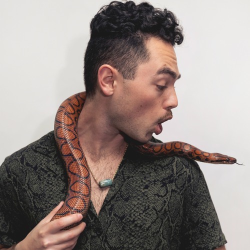HISSTERIA 🐍 — artist photo