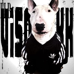 visonickk