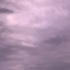 Nguyễn Bạch Long