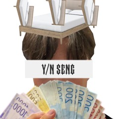 Y/N SENG