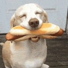 YUM YUM