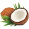 Lilcoconut