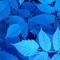 BlueSky_Composition