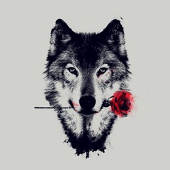 Ibrahim_Elsayad