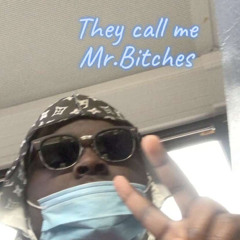 Mr.Bitches