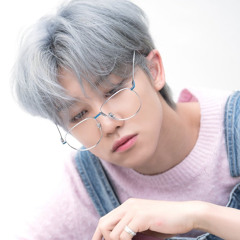 SEVENTEEN (세븐틴) - PHENOMENON S.COUPS SOLO