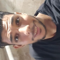 Tarek El Zaaem