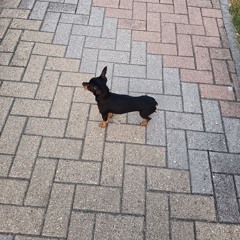 mans max  un patīk braukat ar riteni