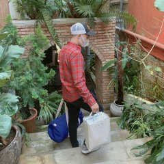 Đạt Đạt