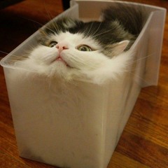 RamenNoodles