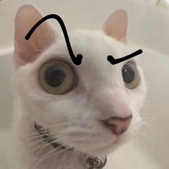 Cesar
