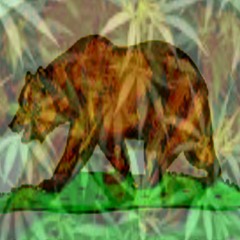 [GOLDEN] [STATE] [RECORDS]