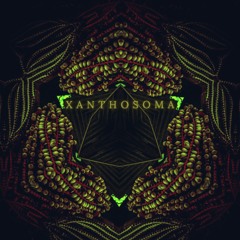 XANTHOSOMA