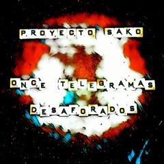 Proyecto Sako