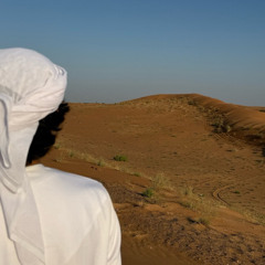 زايد المنصوري