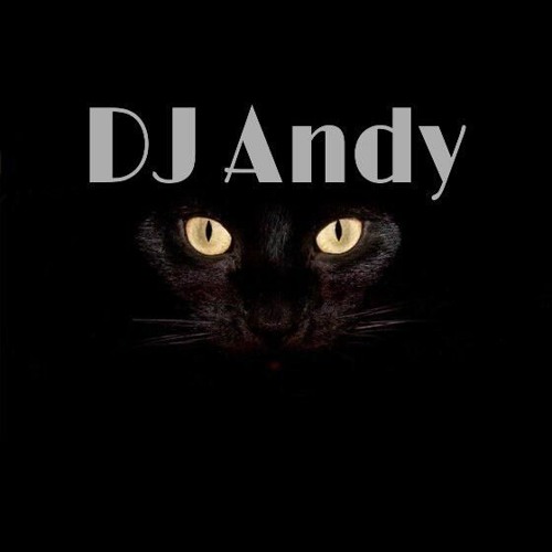 DJ Andy 3’s avatar