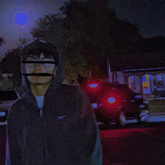 navv_3l